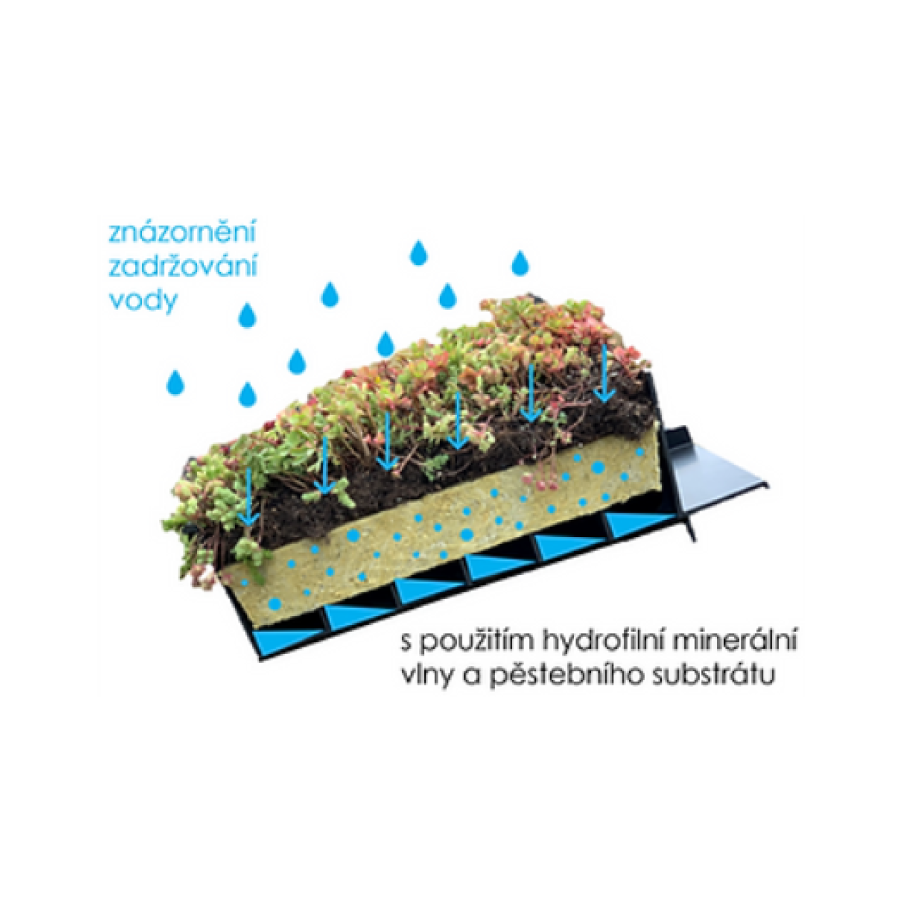 EUREKO GREEN - (bez substrátu a vegetace)